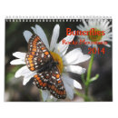 Pesquisar por borboletas calendarios natureza