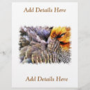 Pesquisar por aves flyers Animais