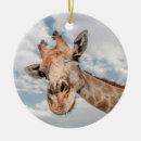Pesquisar por girafa ornamentos Natal