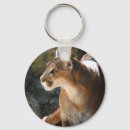 Pesquisar por puma chaveiros Gatos