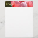 Pesquisar por tulipas flyers Rosa