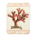 Pesquisar por recife imas Recife de coral