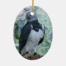 Pesquisar por régio ornamentos Qualquer pessoa