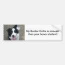Pesquisar por border collie adesivos carros Pára choque