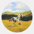 Pesquisar por colt adesivos Imundo