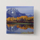 Pesquisar por reflexo botons Floresta