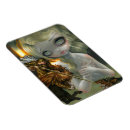 Pesquisar por roger imas Roedor