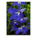 Pesquisar por cobalt blue cartoes postais Cobalto