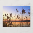 Pesquisar por silhouette cartoes postais Paisagem