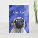 Pesquisar por pug bonito cartoes Cãozinho fofo