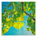 Pesquisar por gingko Azul