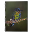 Pesquisar por colibri cadernos de notas Pássaro
