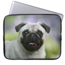 Pesquisar por jovem corça capas Pug