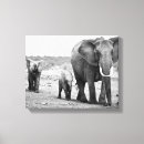 Pesquisar por elefante branco impressão de canvas Preto e branco