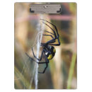 Pesquisar por aranha preta amarela Inseto