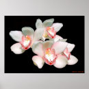 Pesquisar por new year pósteres pôsteres Happy