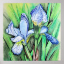 Pesquisar por floral azul pósteres pôsteres Pastel