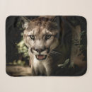 Pesquisar por leão de montanha mantas Puma