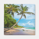 Pesquisar por cocos imas Praia
