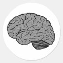 Pesquisar por neurologia adesivos Psicologia