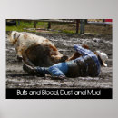 Pesquisar por touro rodeio pôsteres Boi