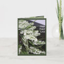 Pesquisar por reciclado cartoes postais Amor