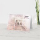 Pesquisar por crested cartoes Dog