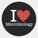 Pesquisar por microbiologia adesivos Bacteriologia