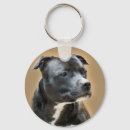 Pesquisar por staffordshire chaveiros Staffie