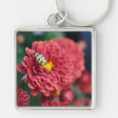 Pesquisar por besouros chaveiros Vermelho