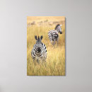 Pesquisar por arte africana impressão de canvas Zebra