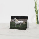 Pesquisar por running cartoes Horse