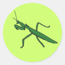 Pesquisar por louva a deus adesivos Verde