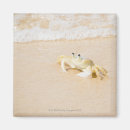 Pesquisar por surf imas Natureza