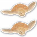 Pesquisar por natação artesanato material Mar