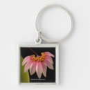 Pesquisar por orquídeas chaveiros Fotos de flores