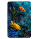 Pesquisar por recife imas Peixe do oceano