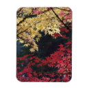 Pesquisar por jardim japonês cartoes Carapaça