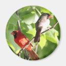 Pesquisar por norte imas Vermelho