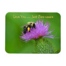 Pesquisar por amor doce imas Romance