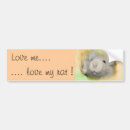 Pesquisar por ame o rato Amor