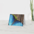 Pesquisar por morpho cartoes Butterfly