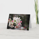 Pesquisar por flor de cerejeira cartoes Floral
