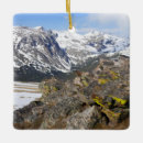 Pesquisar por marmota ornamentos Vida selvagem