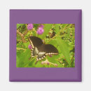 Pesquisar por refrigerador pôsteres Vermelho