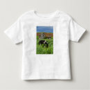 Pesquisar por cavalo para venda camisetas Palouse