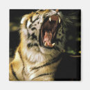 Pesquisar por detroit michigan imas Estados unidos