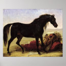 Pesquisar por cavalos árabes pósteres pôsteres Preto
