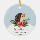 Pesquisar por hedgehog ornamentos Aquarela