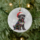 Pesquisar por natal schnauzer ornamentos Prata